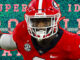 Dynasty IDP Rookie Rankings 2024